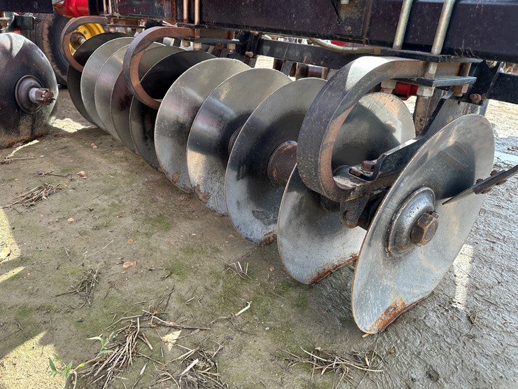 sunflower-1435-image-31