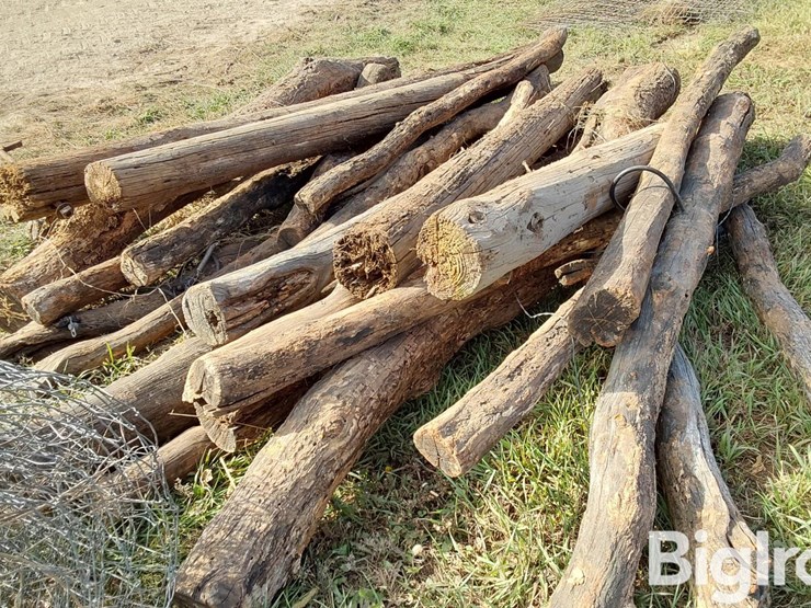 hedge-posts-image-15