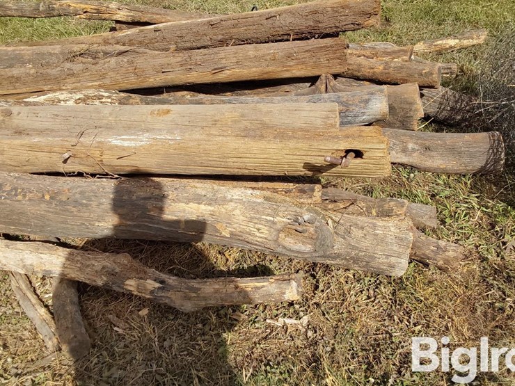 hedge-posts-image-11