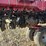 case-ih-1200-image-42