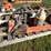 misc-pallet-of-gasoline-stihl-tools-image-7