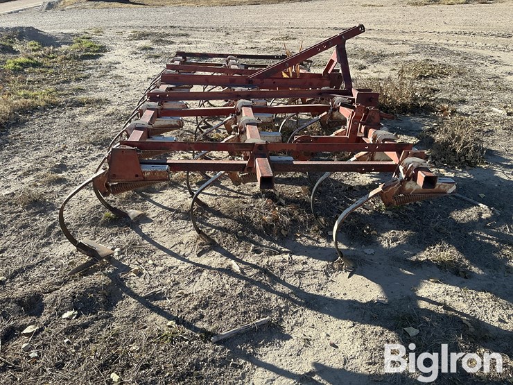 international-13-image-4