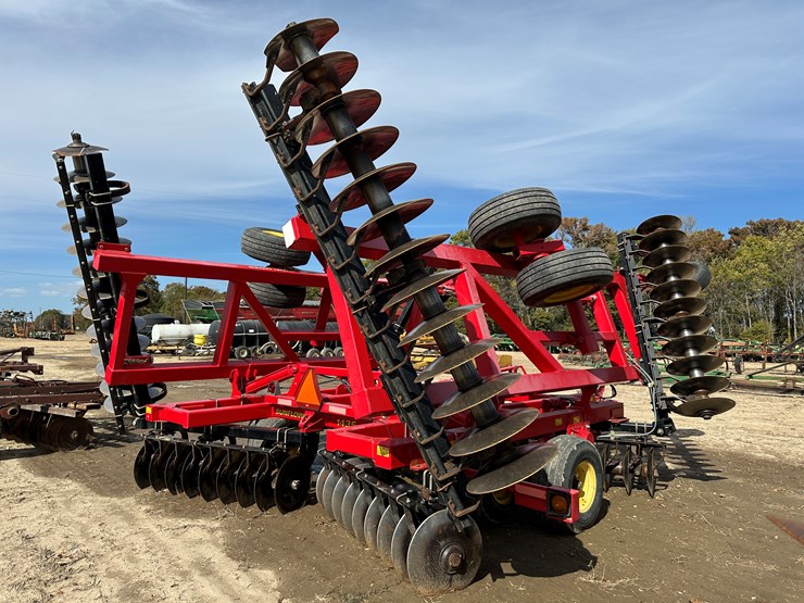 sunflower-1435-image-3