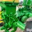 john-deere-a-image-15