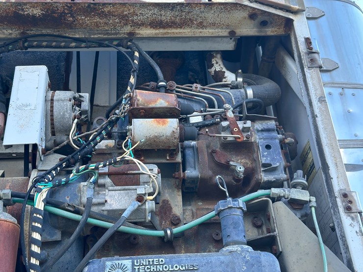 great-dane-48-image-40