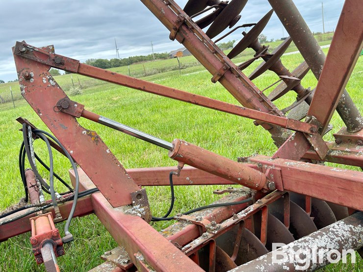 international-490-image-20