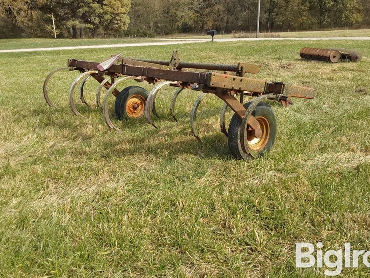 international-55-image-5