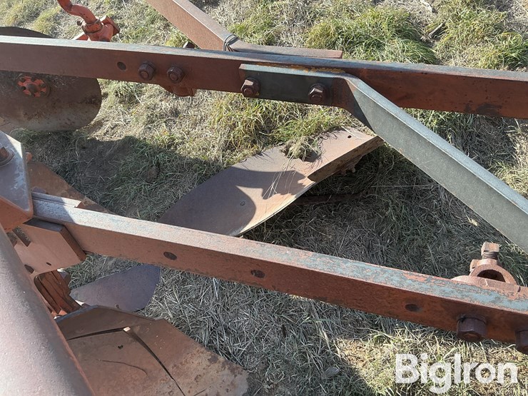 international-5-image-11