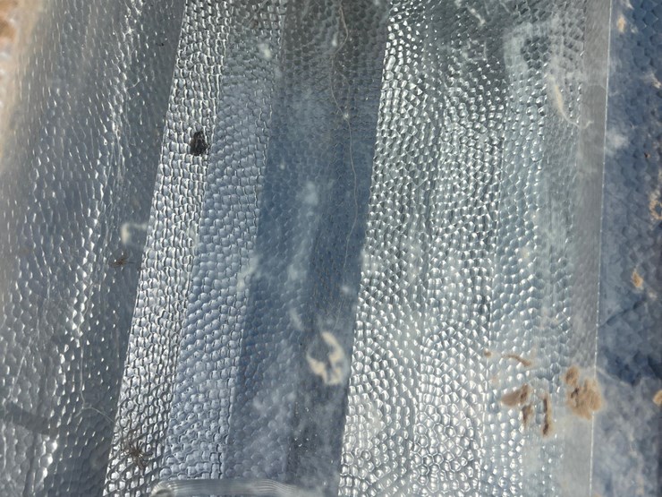 yard-/-lot-floodlights-image-14