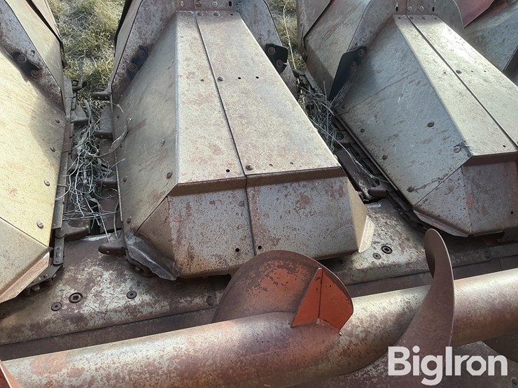 international-843-image-11