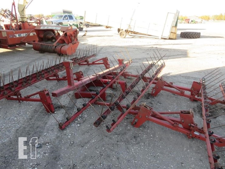 sunflower-1434-image-4