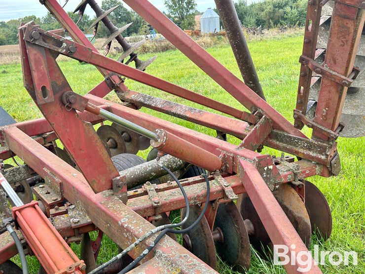 international-490-image-15