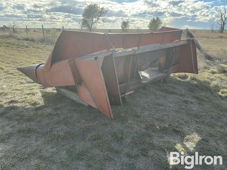 international-843-image-7