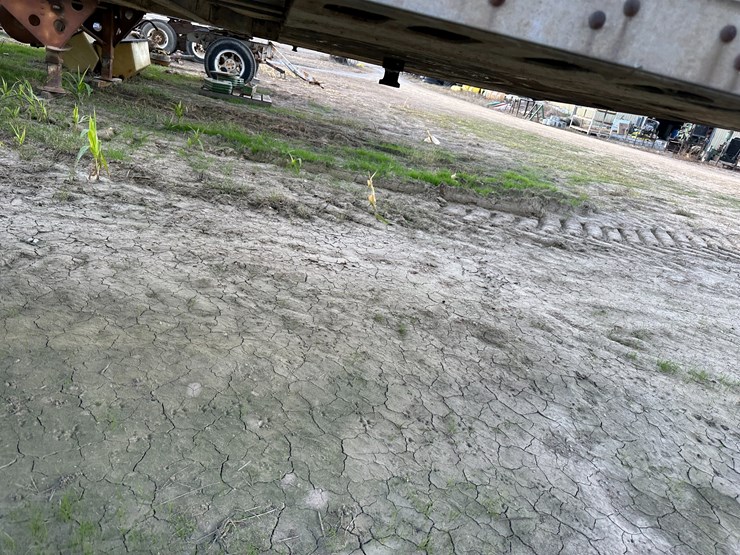 great-dane-48-image-27