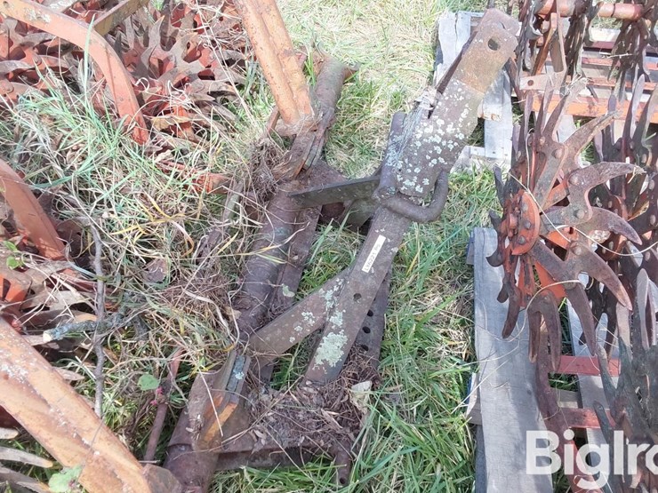 international-3-image-9