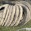 tire-sidewalls-image-7