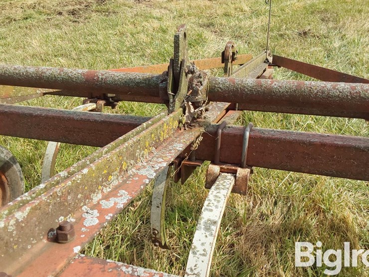 international-55-image-14