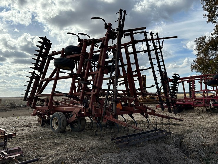 sunflower-6332-26-image-4