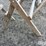 folding-sawhorses-image-11