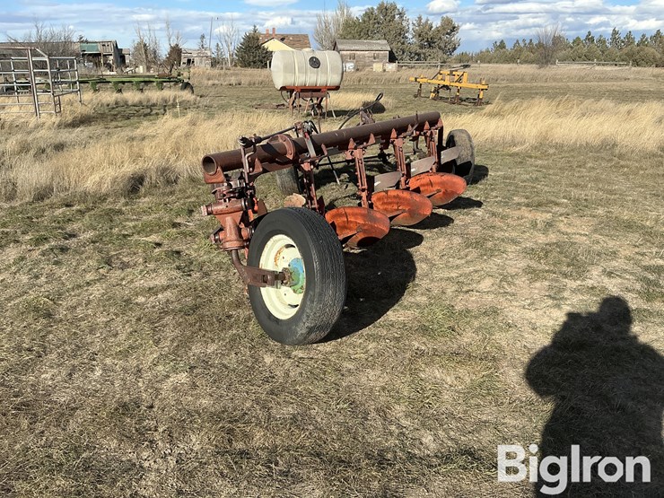 international-5-image-6