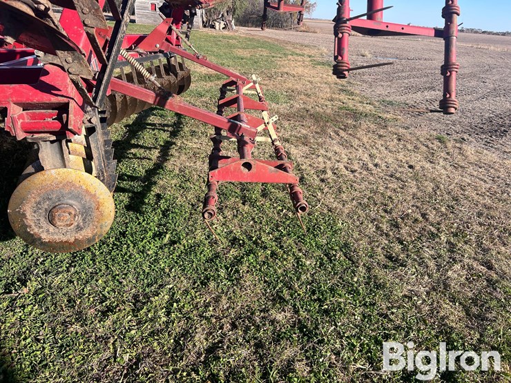 international-490-image-10