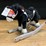 home-accents-29"-animated-rocking-horse-image-1