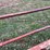 homemade-header-trailer-for-6-row-head-image-12