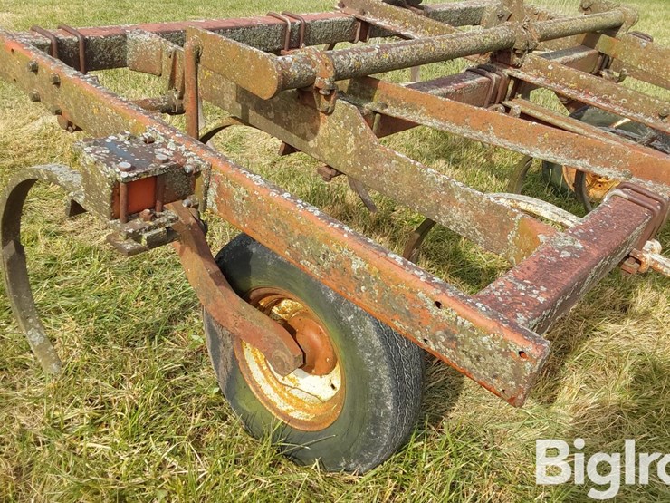 international-55-image-12