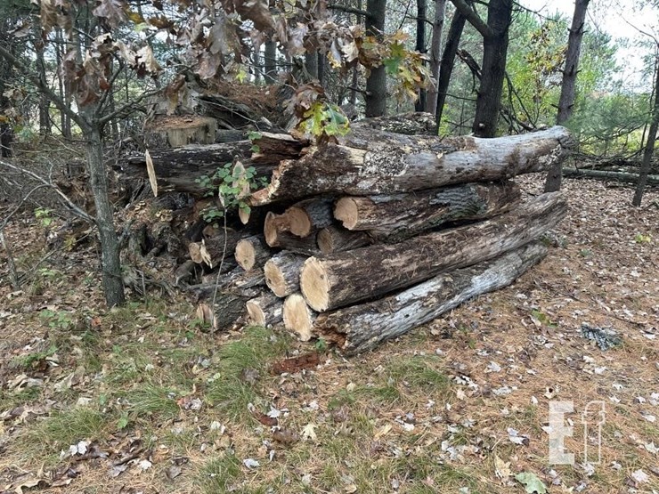tree-logs-image-1