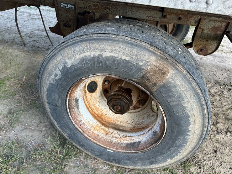 great-dane-48-image-6