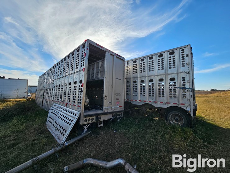 2003-wilson-livestock-image-7