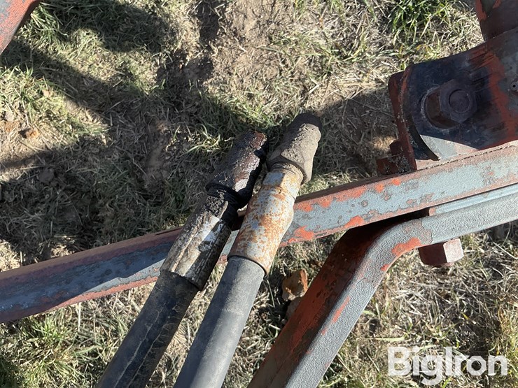 international-5-image-12