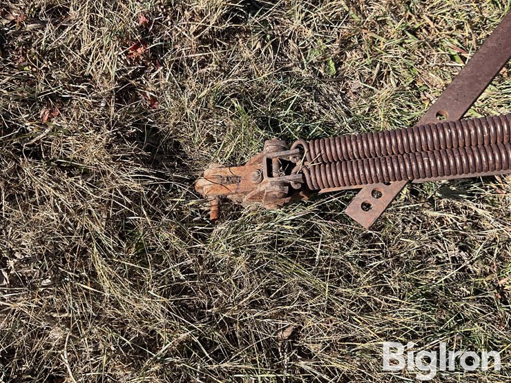 international-3-image-9