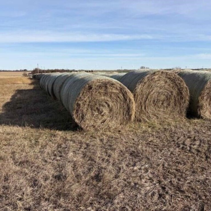 40 Round Native Hay Bales Clean/Sprayed