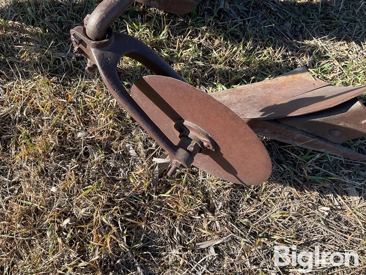 international-3-image-14