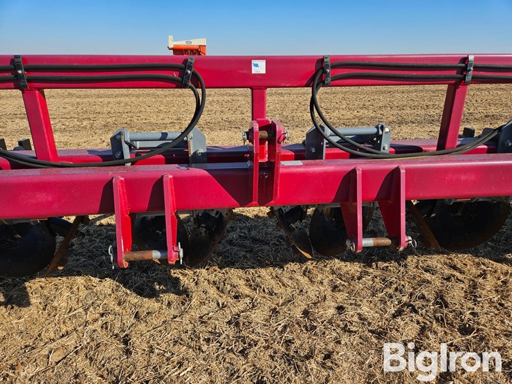 besler-2000-image-10