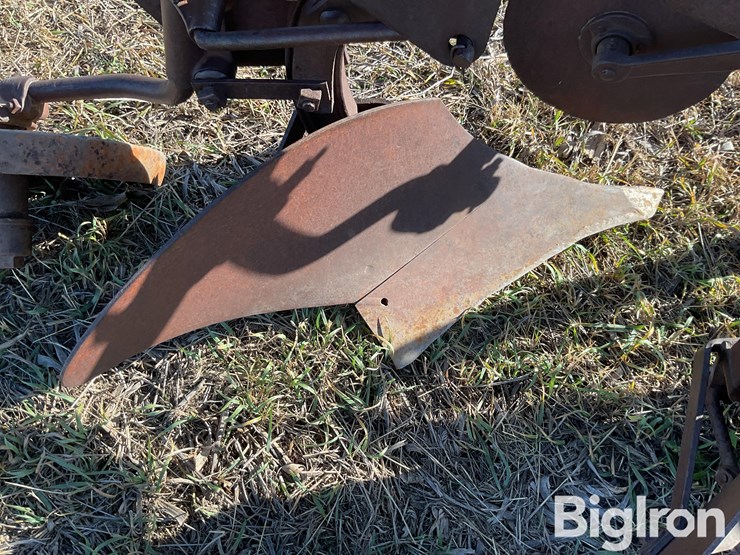 international-3-image-16