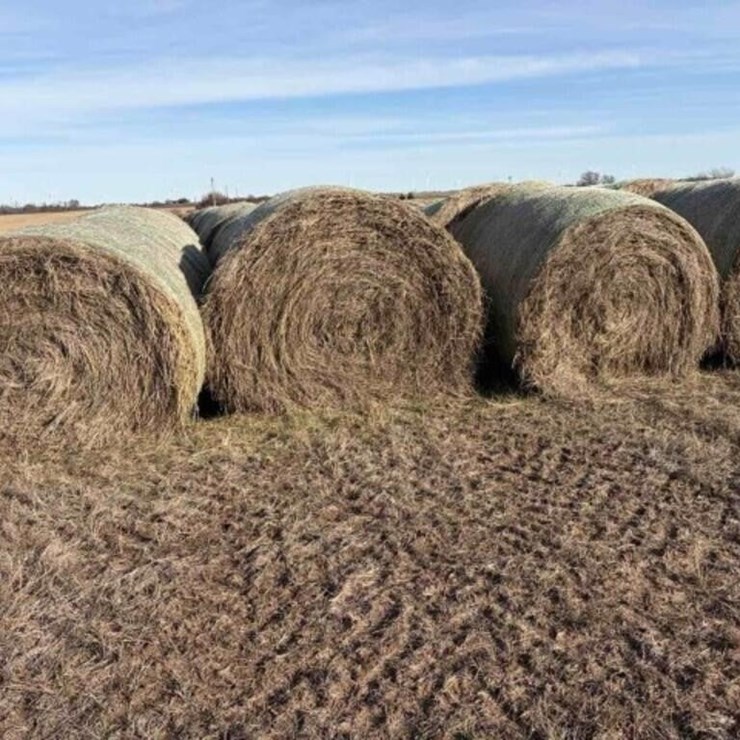 40 Round Native Hay Bales Clean/Sprayed