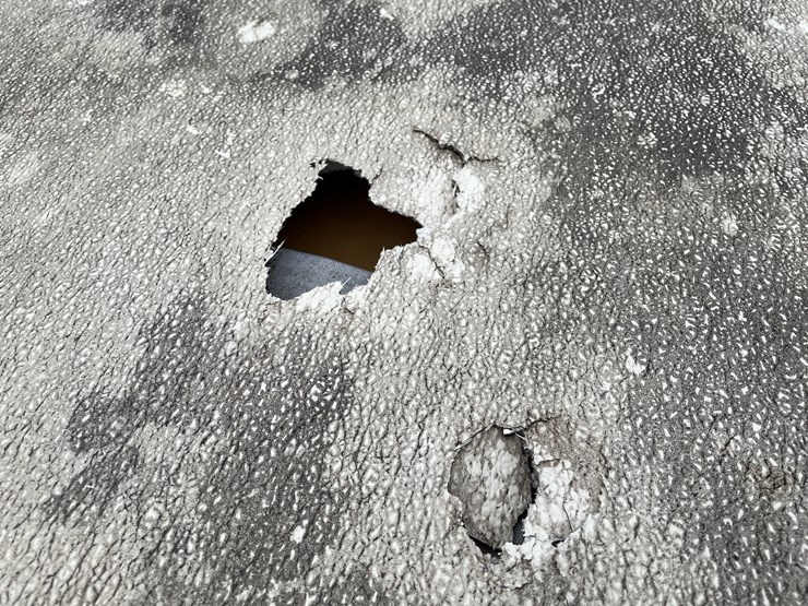 #1100-•-palomino-filly-sdl-popup-camper-(no-title)-image-10