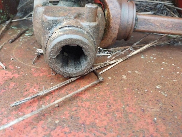 international-56-image-6