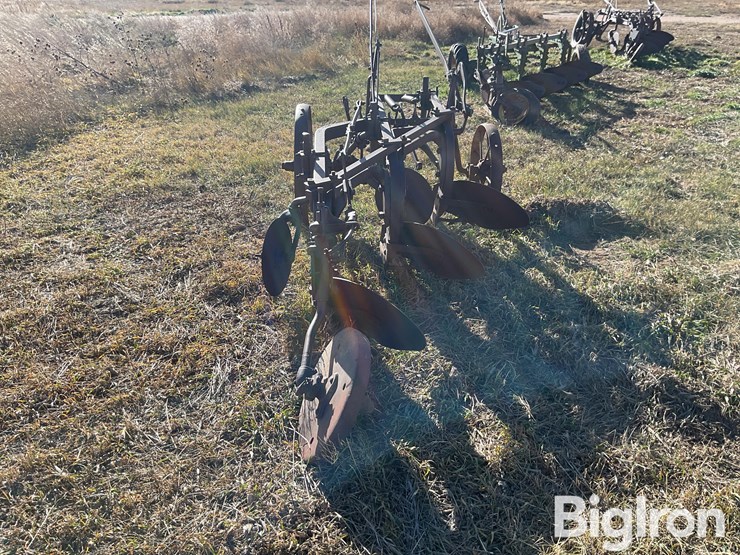 international-3-image-6