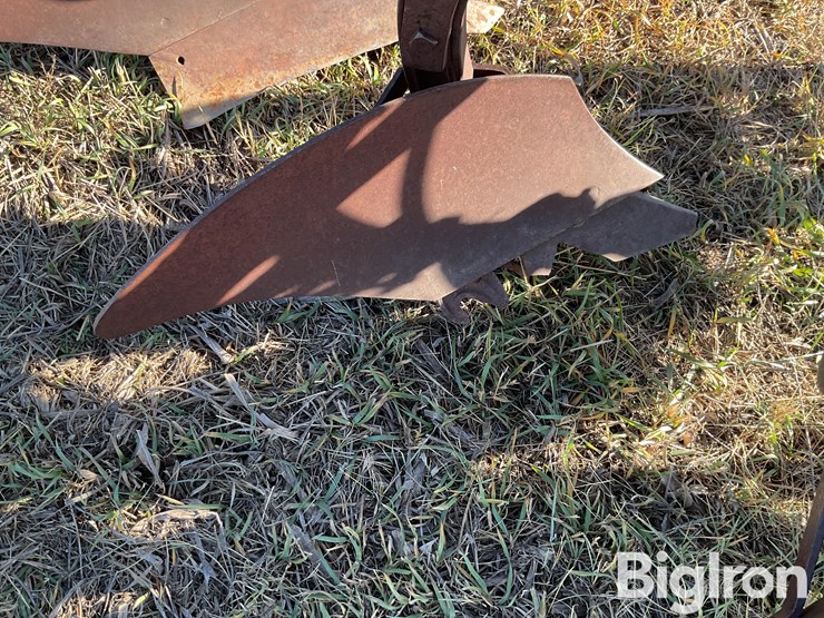 international-3-image-17