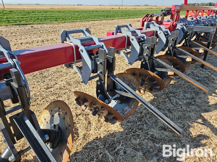 besler-2000-image-18