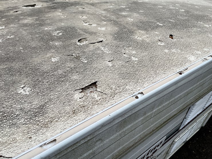 #1100-•-palomino-filly-sdl-popup-camper-(no-title)-image-9