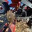 2010-case-ih-2010-image-15