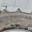 float-tires-(dr12631)-image-13