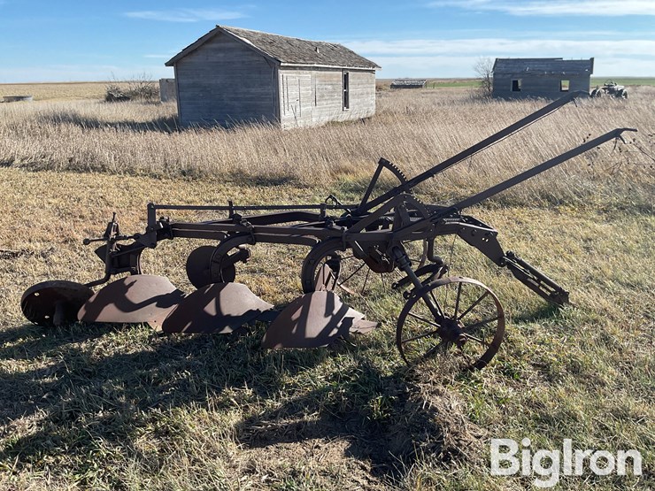 international-3-image-4