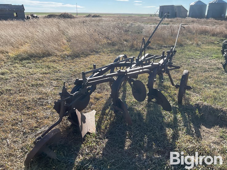 international-3-image-5