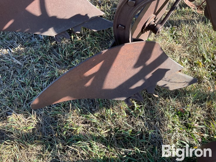 international-3-image-18