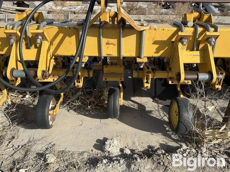 alloway-rau-image-17